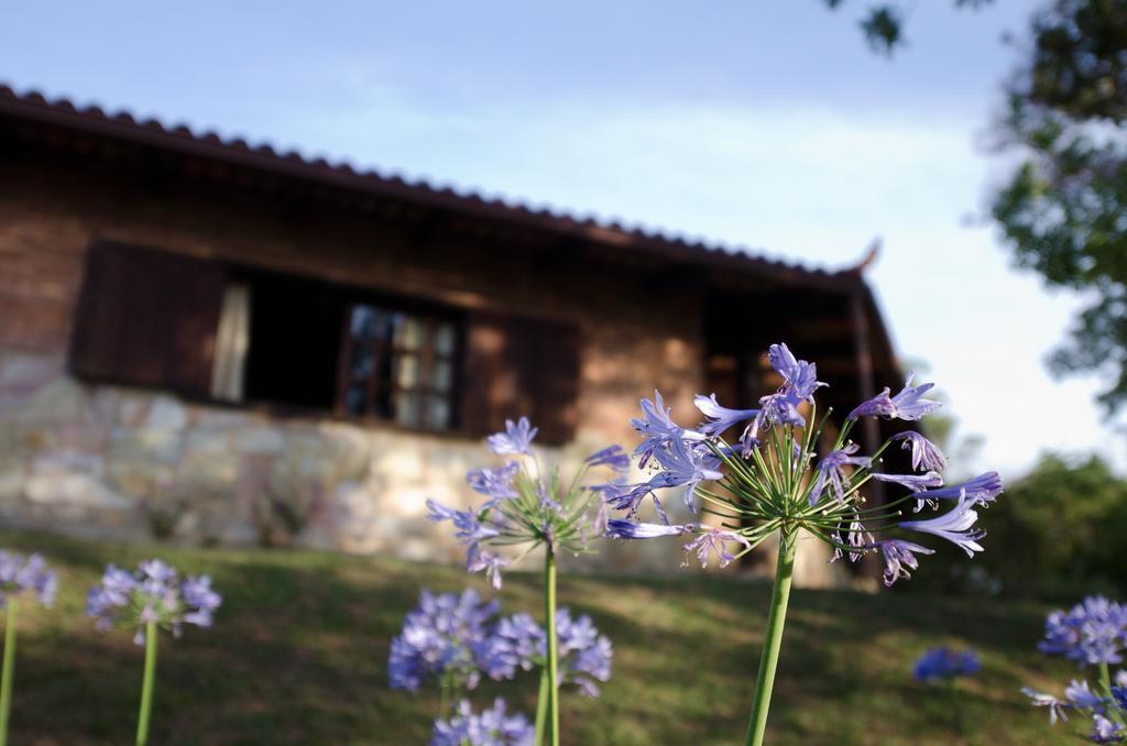 Hotel Pousada Spa Prana Lorien Santo Antônio do Leite Exteriér fotografie